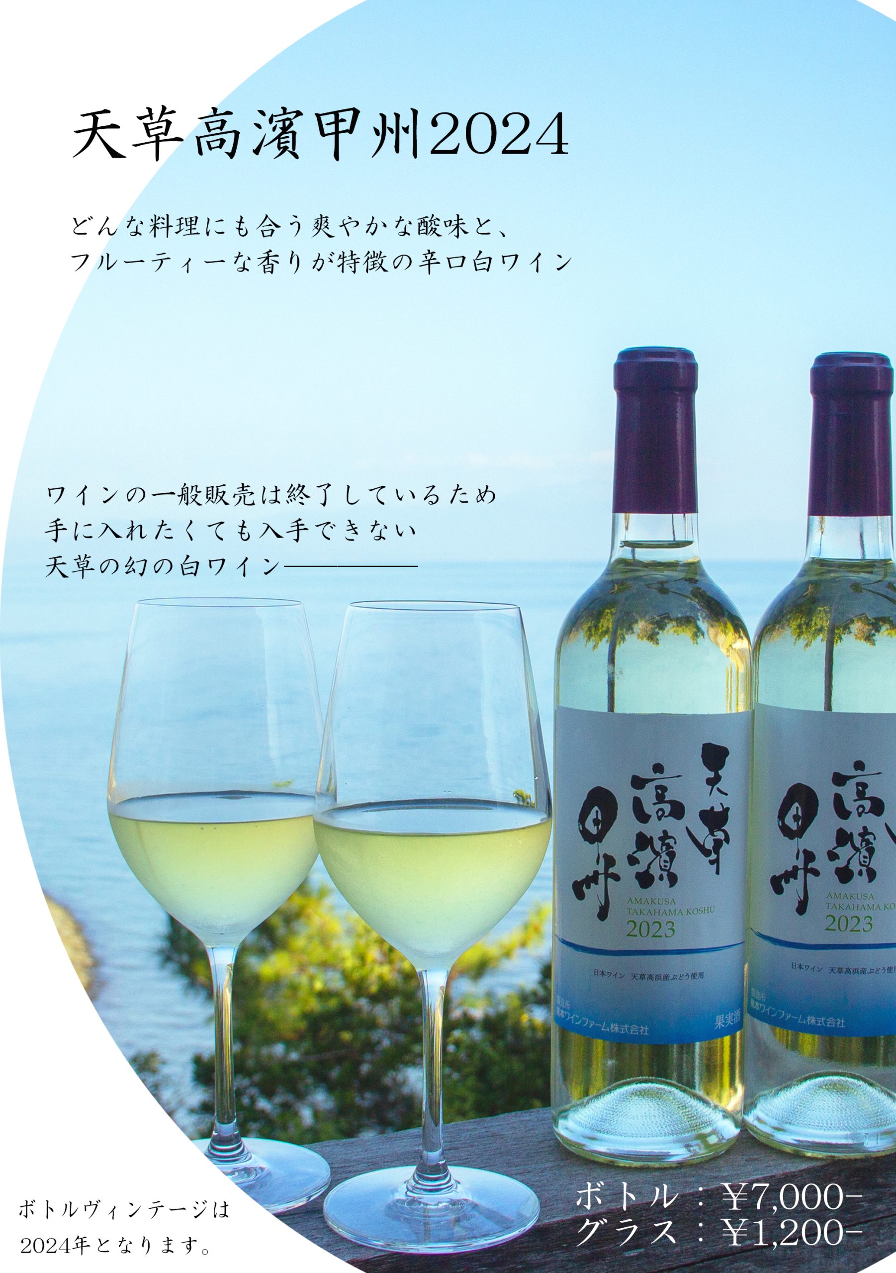 天草高浜産の白ワイン「天草高濱甲州2024」の販売について – 【公式 